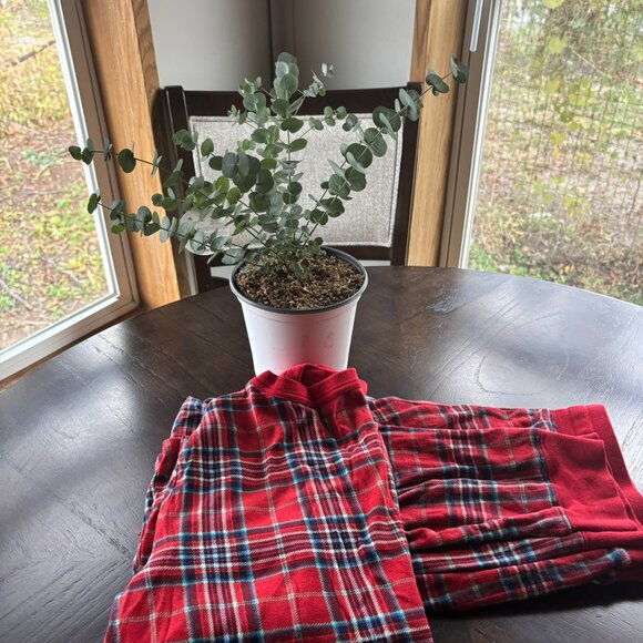 Red Gingham PJs |Target Wondershop| Women M| Holiday Lounge set - Picture 2 of 3
